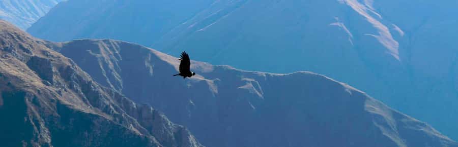 Chonta Viewpoint, Tarawasi & Killarumiyoq Private Tour - Practical Details and Tips