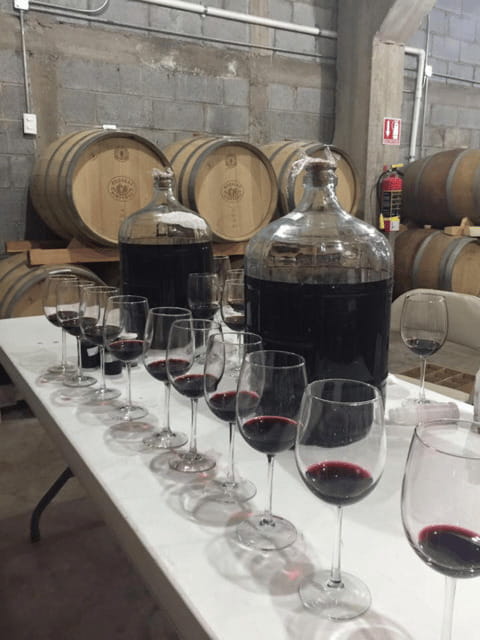 Chihuahua: Insignia Winery Wine Tasting Experience - Setting the Scene: Why Visit Insignia Winery?