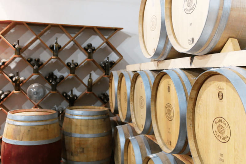 Chihuahua: Insignia Winery Wine Tasting Experience - The Itinerary: From Vines to Glass