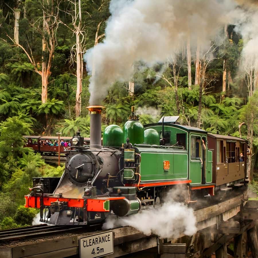 Private Puffing Billy Train & Healesville Sanctuary Tours - Practical Details and Value