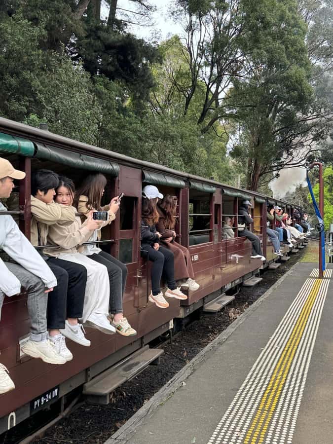 Private Puffing Billy Train & Healesville Sanctuary Tours - An In-Depth Look at the Itinerary