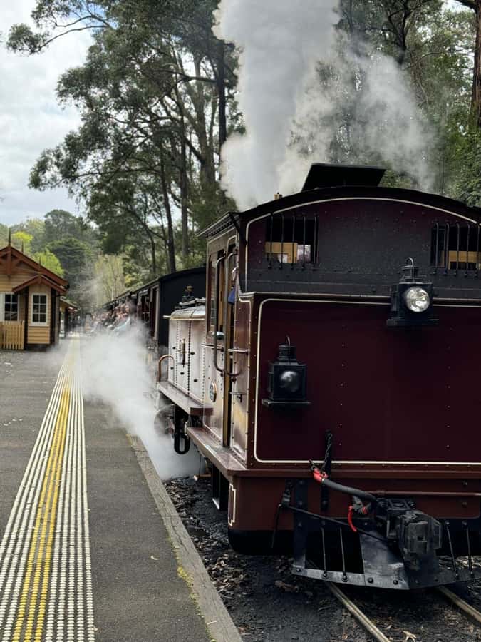 Private Puffing Billy Train & Healesville Sanctuary Tours - Who Should Consider This Tour?