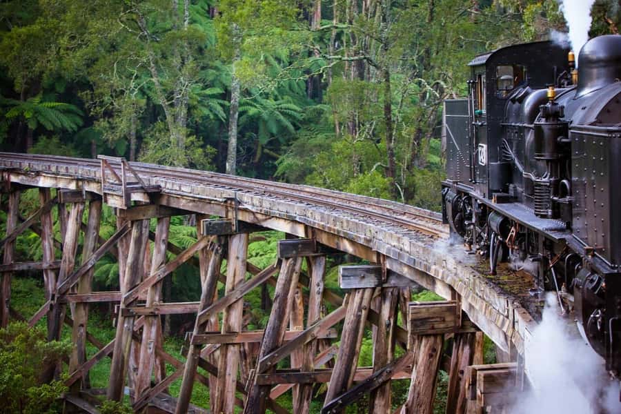 Private Puffing Billy Train & Healesville Sanctuary Tours - Good To Know