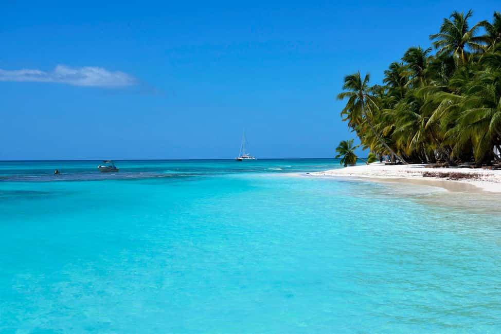Punta Cana: Saona Island Day Trip with Open Bar and Lunch - Who Will Love This Tour?