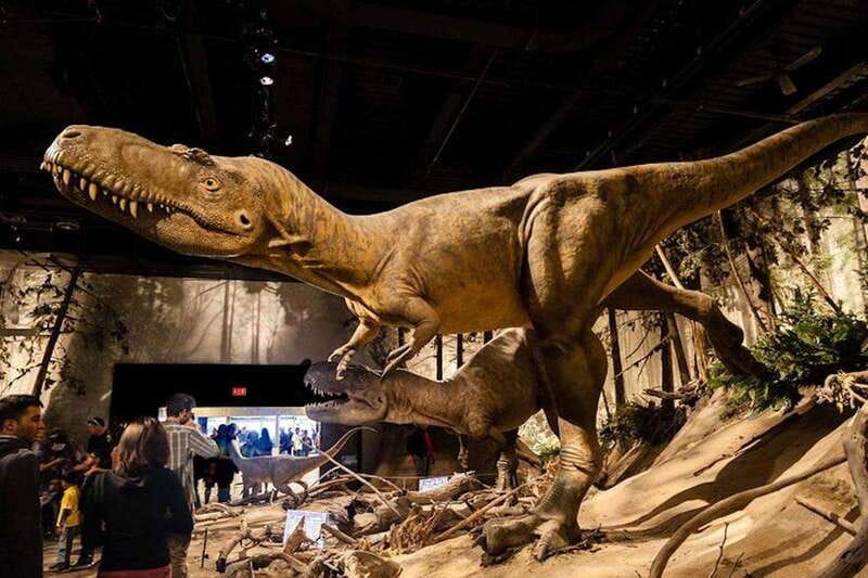Day of Dinosaurs and Hoodoos From Calgary to the Badlands - Key Points