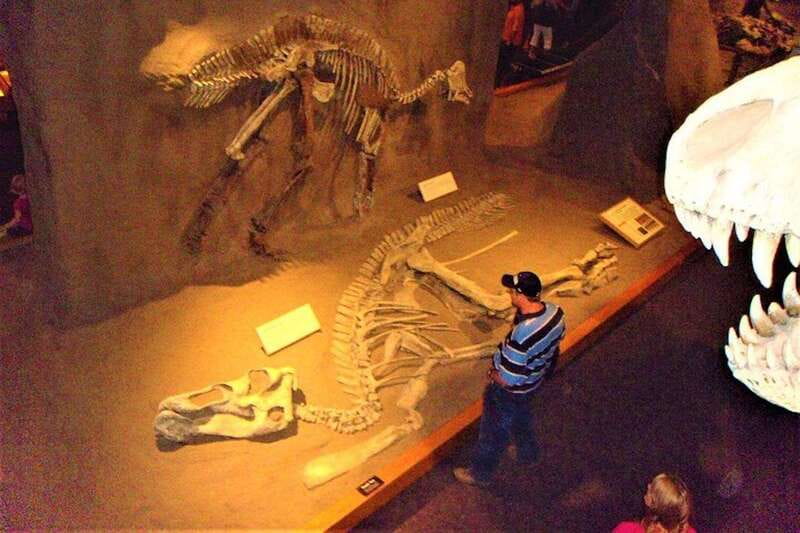 Day of Dinosaurs and Hoodoos From Calgary to the Badlands - Introduction: What’s This Tour All About?