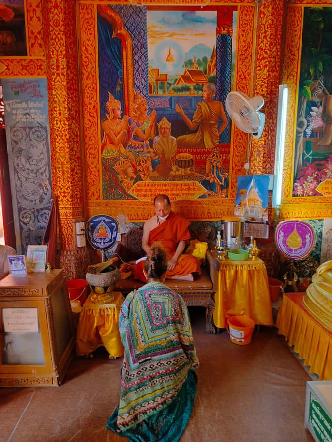 Chiang Mai: Elephant Sanctuary Experience & Doi Suthep Tour - Analyzing the Value