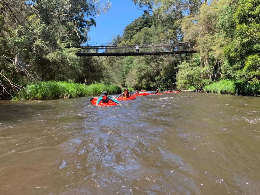 Yarra Valley: Self-Guided River Sledding Adventure - Final Thoughts