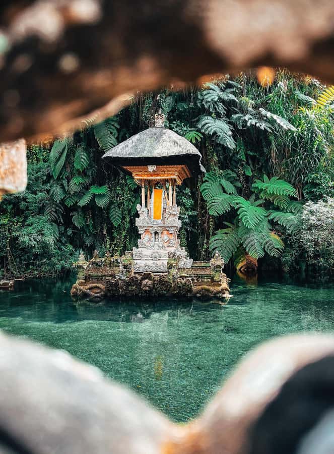 Ubud:Monkey Forest, Rice Terraces, Water Temples, Waterfalls - The Itinerary in Detail