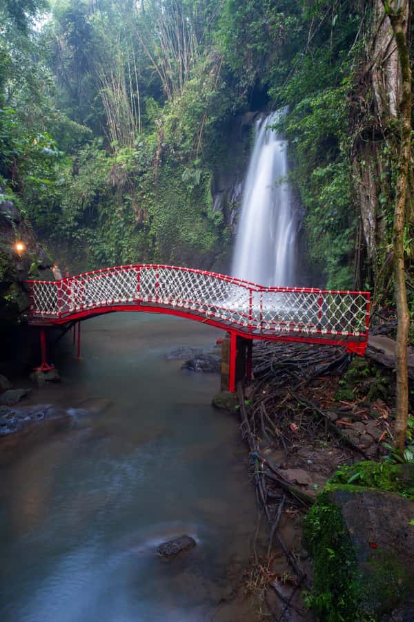 Ubud:Monkey Forest, Rice Terraces, Water Temples, Waterfalls - What Makes This Tour Stand Out?