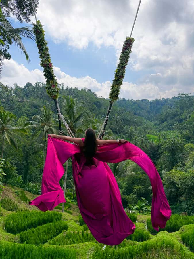 Ubud:Monkey Forest, Rice Terraces, Water Temples, Waterfalls - Pricing & Value