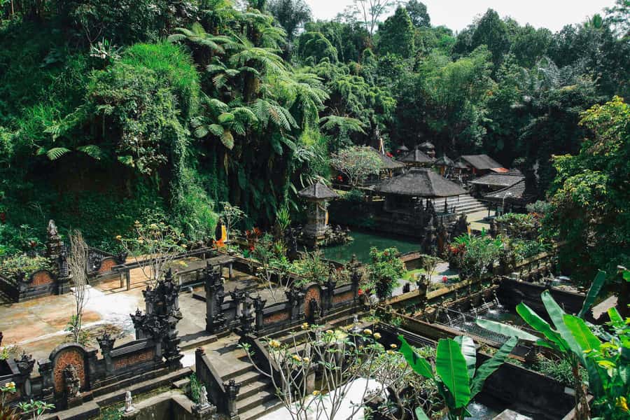 Ubud:Monkey Forest, Rice Terraces, Water Temples, Waterfalls - Who Is This Tour Best For?