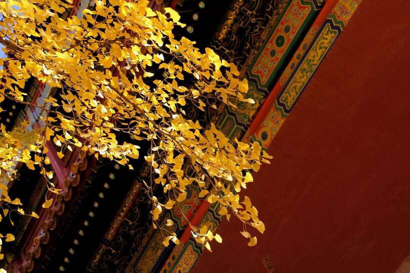Forbidden City Of Beijing Tickets Booking And Other Option - FAQs