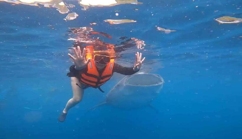 CEBU: Whaleshark Watching + Sumilon Sand Bar + Tumalog Falls - An In-Depth Look at What to Expect