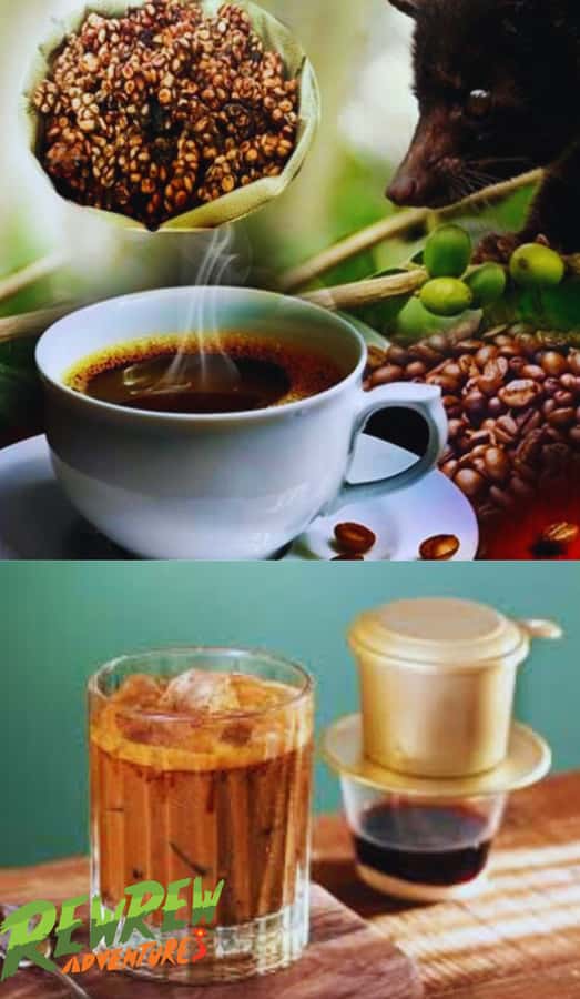 Secret Tour Dalat - Final Thoughts: Is the Secret Tour Dalat Worth It?