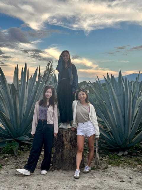 Small group tours: Hierve el Agua, Mezcal, Teotitlán, Mitla and Tule. - Final Stop: Mezcal Distillery