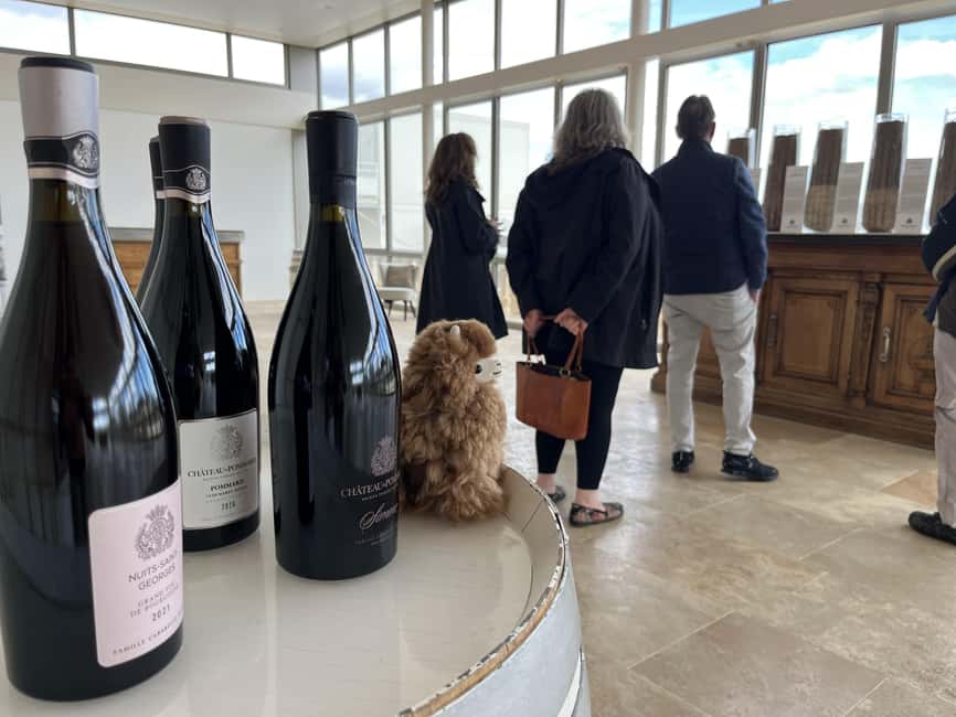 From Paris: Burgundy Chablis Wine & Cheese Tasting Day Trip - Authentic Experiences and Reviews Insights