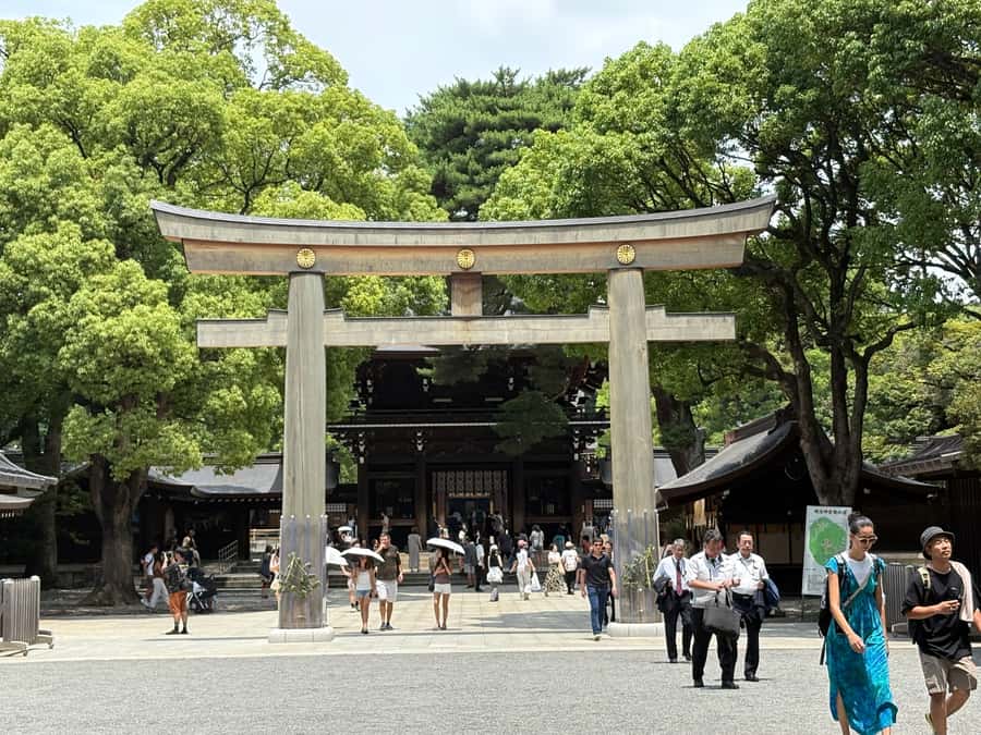 Tokyo: Private Half-Day Highlights Tour by Car with Guide - In-Depth Look at the Itinerary
