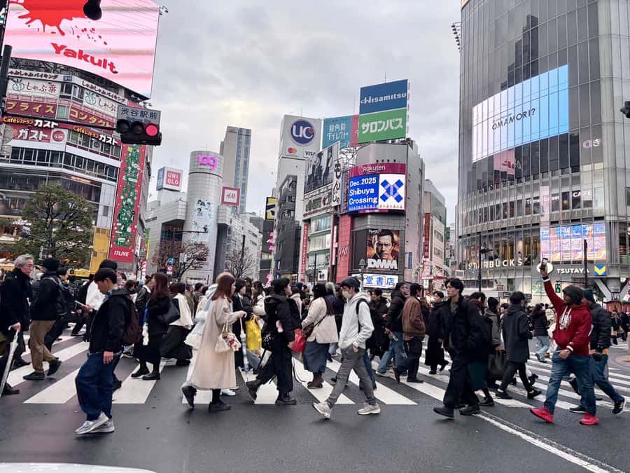 Tokyo: Private Half-Day Highlights Tour by Car with Guide - Practical Details and Tips