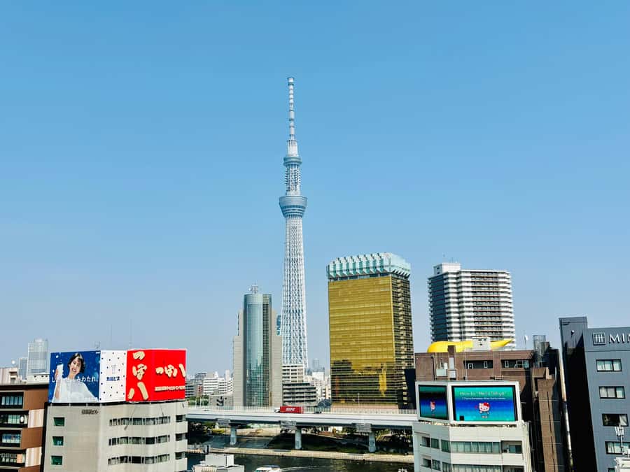 Tokyo: Private Half-Day Highlights Tour by Car with Guide - What to Expect at Each Stop