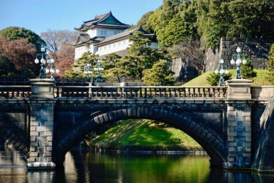 Tokyo Private Tour in Luxury Vehicle with English Guide - What Makes This Tour Stand Out?
