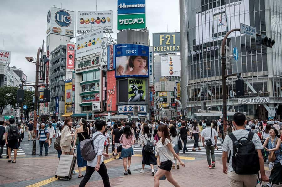 Tokyo Private Tour in Luxury Vehicle with English Guide - Wrapping Up