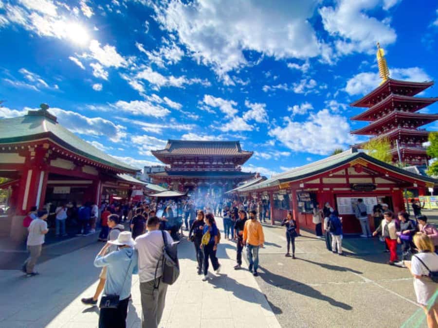 Tokyo Private Tour in Luxury Vehicle with English Guide - The Real Value of This Tour