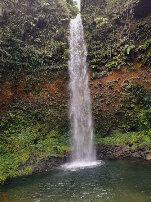 Dominica: Local Bush Rum Bar, Waterfall and River Pool Tour - Good To Know