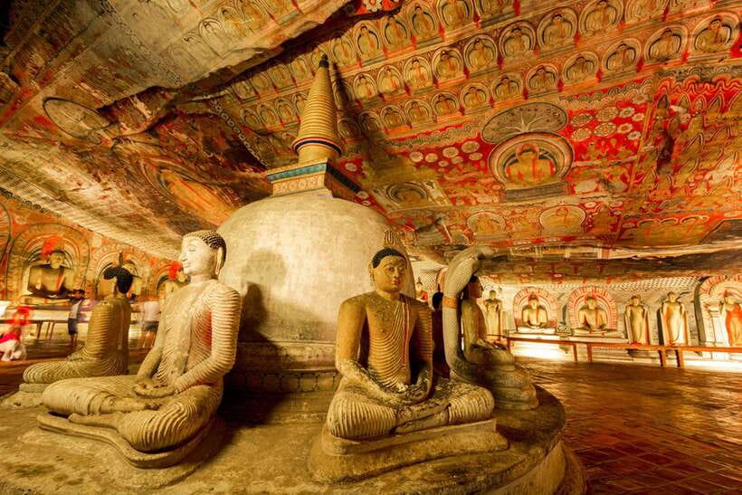 From Colombo: Sigiriya / Dambulla & Safari Day Tour - From Colombo: Sigiriya / Dambulla & Safari Day Tour — A Practical Guide for Curious Travelers