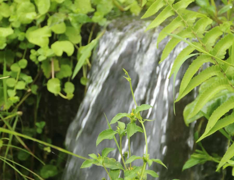 Spiritual Bali for Late Risers - Purification & Waterfall - Who Would Love This Tour?