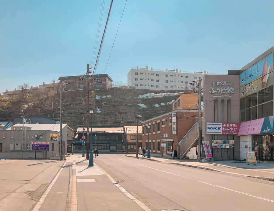 Otaru Private Shore Excursion  Charm of Hokkaido Port City - Sampling Local Flavors at Sankaku Market