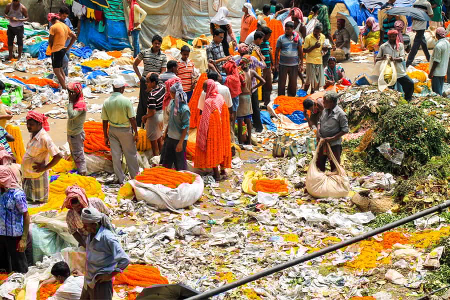 Kolkata Custom Tour: Private & Flexible Guided Day Trip - The Sum Up