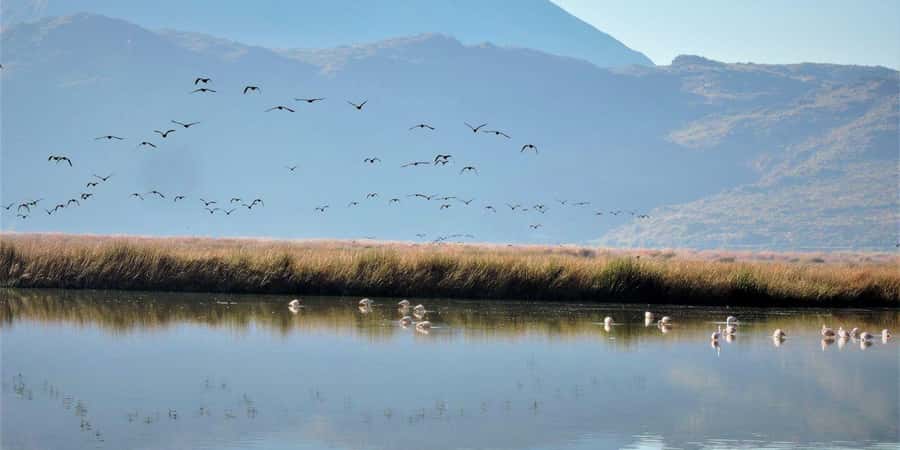 Cusco: Huacarpay Lake Bird Watching Tour with Breakfast - Breakfast with a View