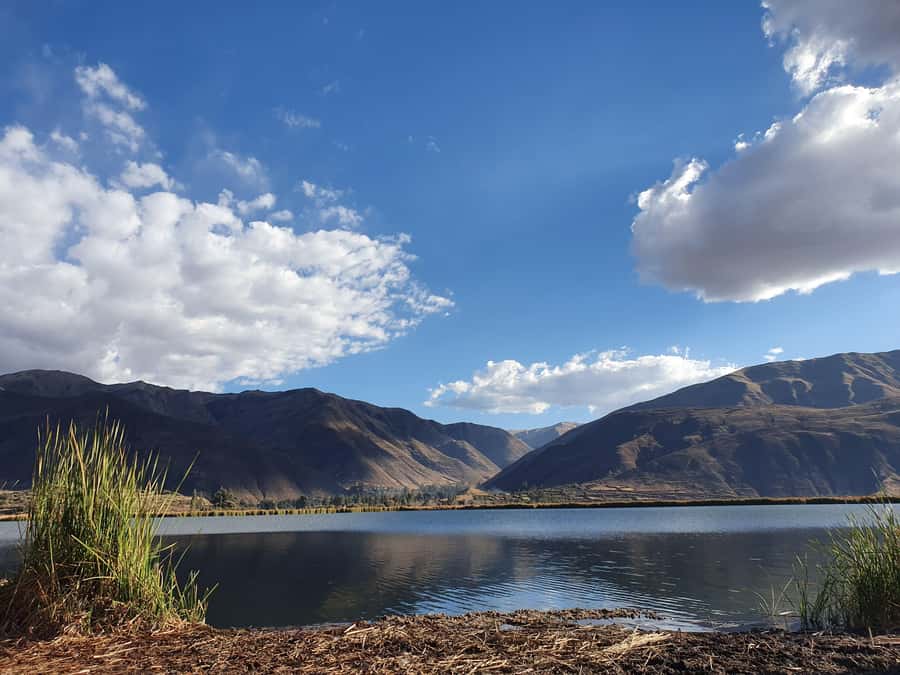 Cusco: Huacarpay Lake Bird Watching Tour with Breakfast - Key Points