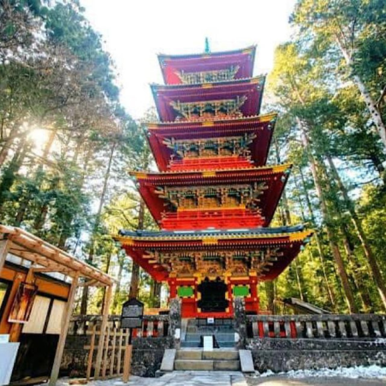 Tokyo: Private Nikko World Heritage Instagramable Day Tour - Authenticity and Comfort: What Sets This Tour Apart