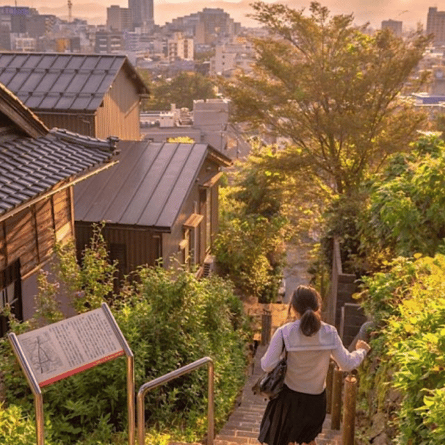Tokyo: Private Nikko World Heritage Instagramable Day Tour - FAQ