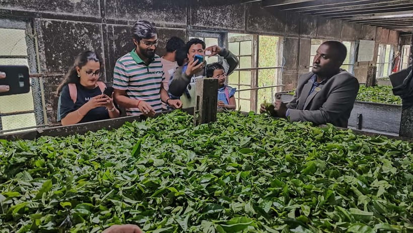 Munnar: Tea trail, Tea Factory, and Tea Tasting Tour - Munnar: Tea Trail, Tea Factory, and Tea Tasting Tour — A Deep Dive Into Kerala’s Tea Heartland