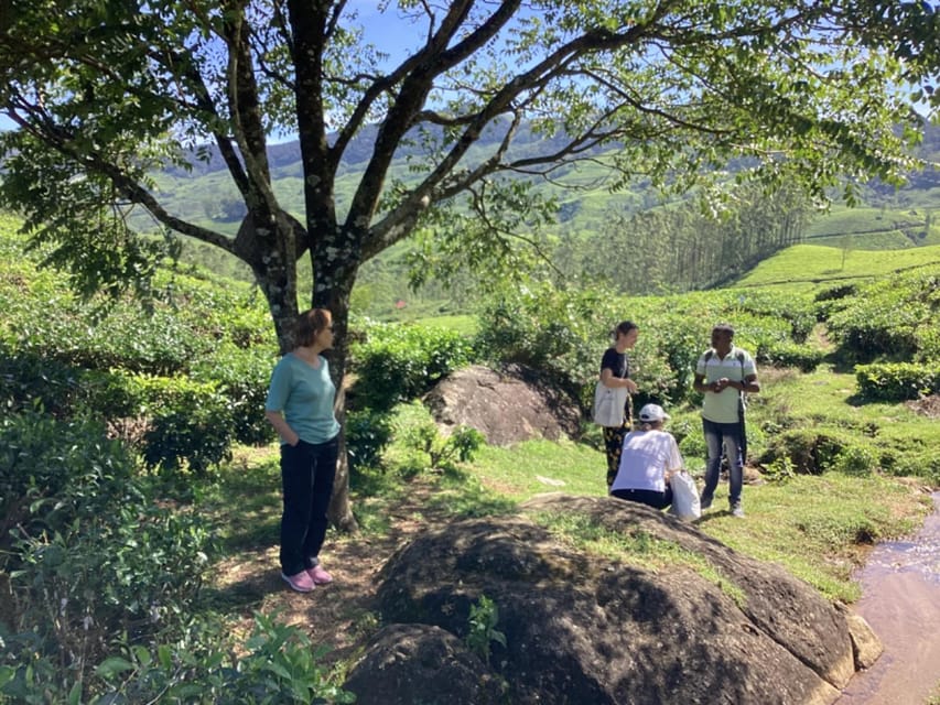 Munnar: Tea trail, Tea Factory, and Tea Tasting Tour - FAQ