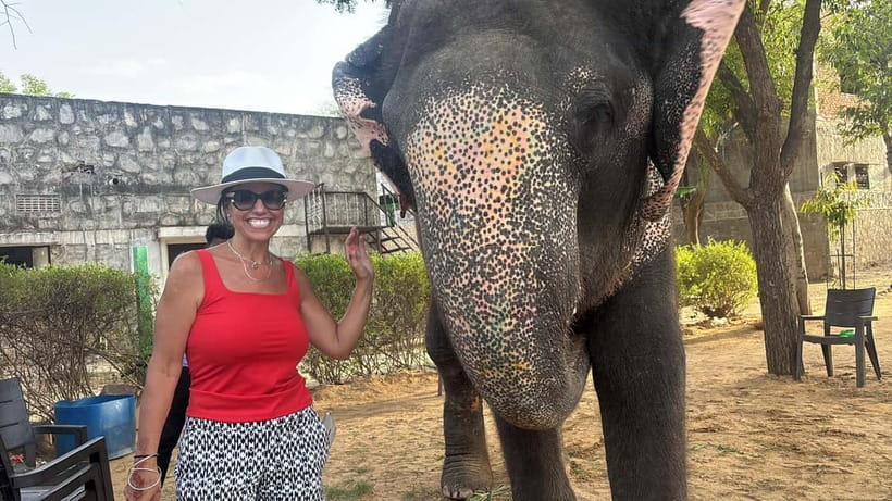 From Delhi: Taj Mahal Sunrise and Elephant Conservation Tour - Key Points  