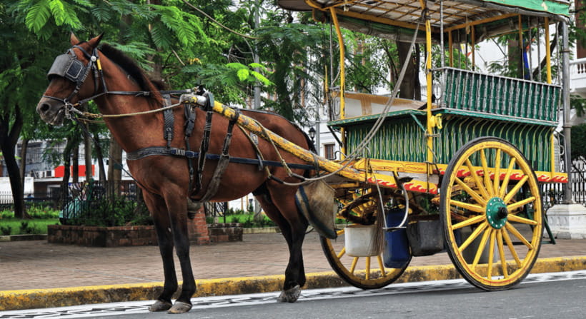 MANILA: HISTORICAL KALESA RIDE TOUR EXPERIENCE IN INTRAMUROS - Authentic Insights from Tour Reviews