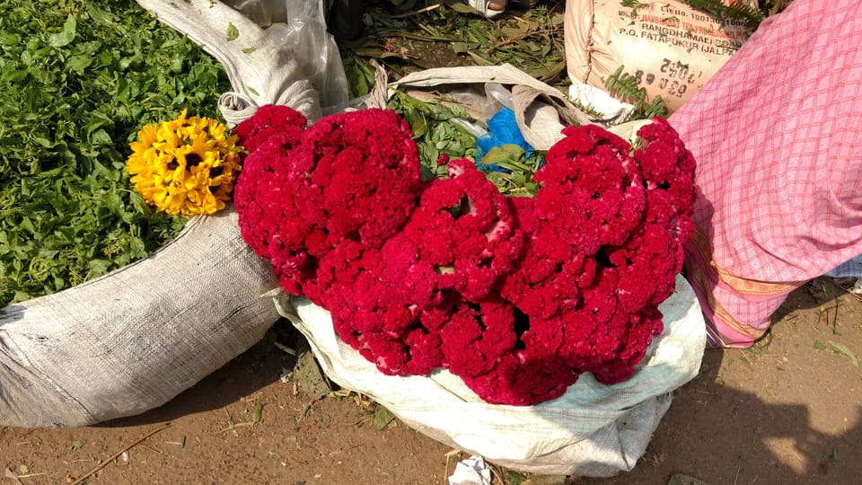 Kolkata: Half-Day Morning Tour w/ Flower Market - The Practical Side: What You’re Getting