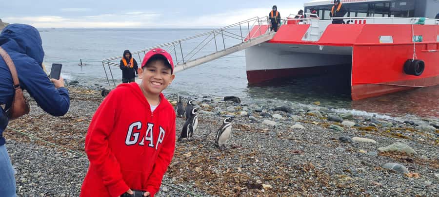 Magdalena Island: Walk with the penguins - Authentic Feedback and Real Experiences