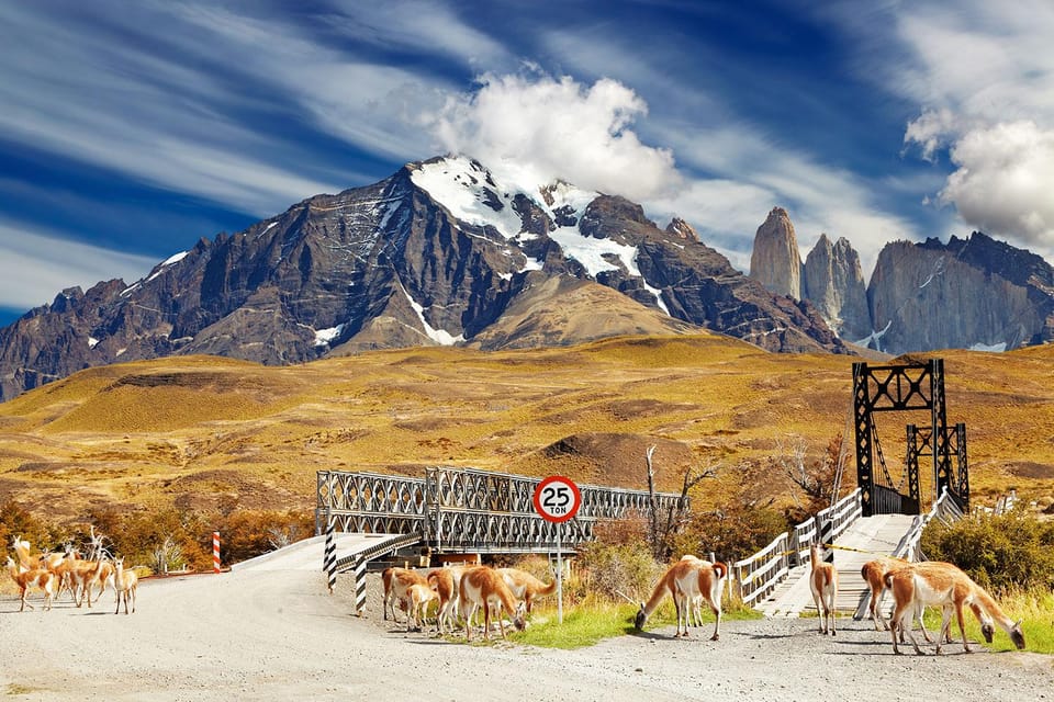 Puerto Natales: Tour Package (Full Day + Base Torres + Grey) - What the Experience Means for You