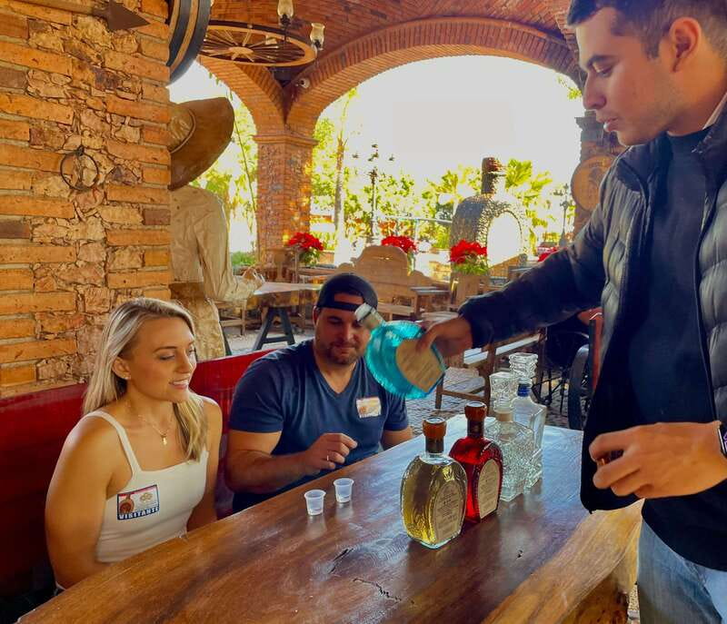 Tequila and Guachimontones: Private Full Day Tour - Key Points