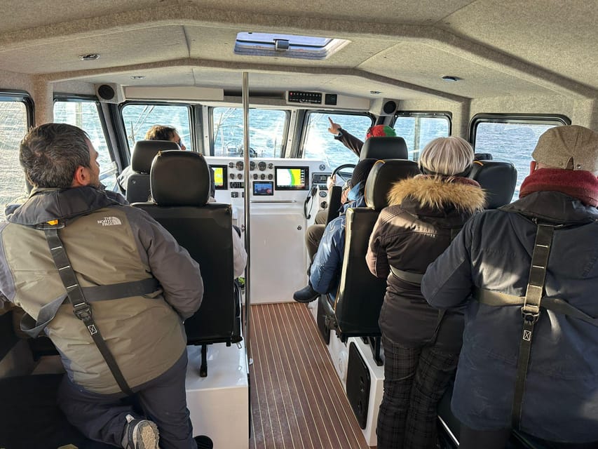 Tromsø: Orca and Whale Watching comfort heated boat Trip - Why Past Travelers Love This Tour