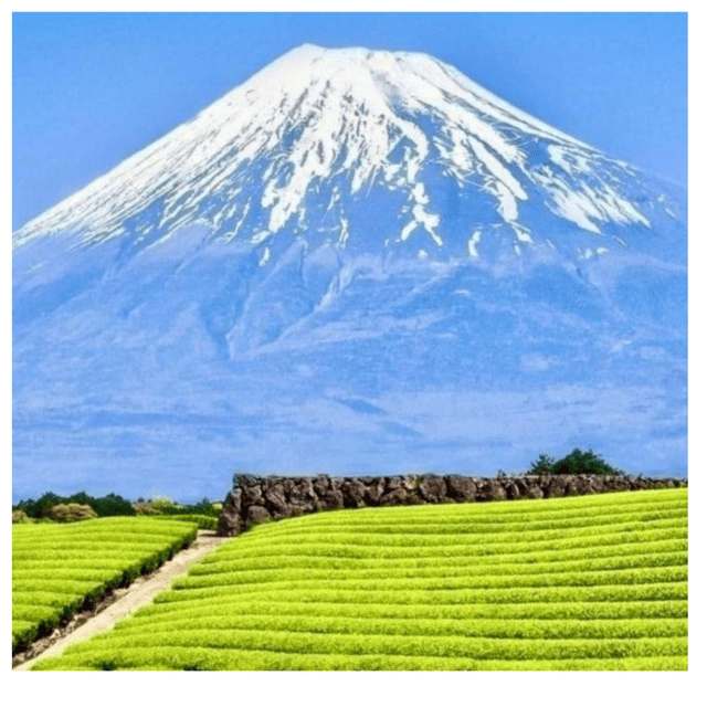 Tokyo: Private Instagramable Day Trip Mt Fuji & Five Lakes - Who Is This Tour Best For?