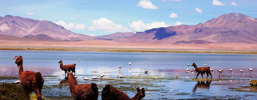 4D/3N SAN PEDRO DE ATACAMA-UYUNI (ROUND TRIP) SHARED SERVICE - Key Points