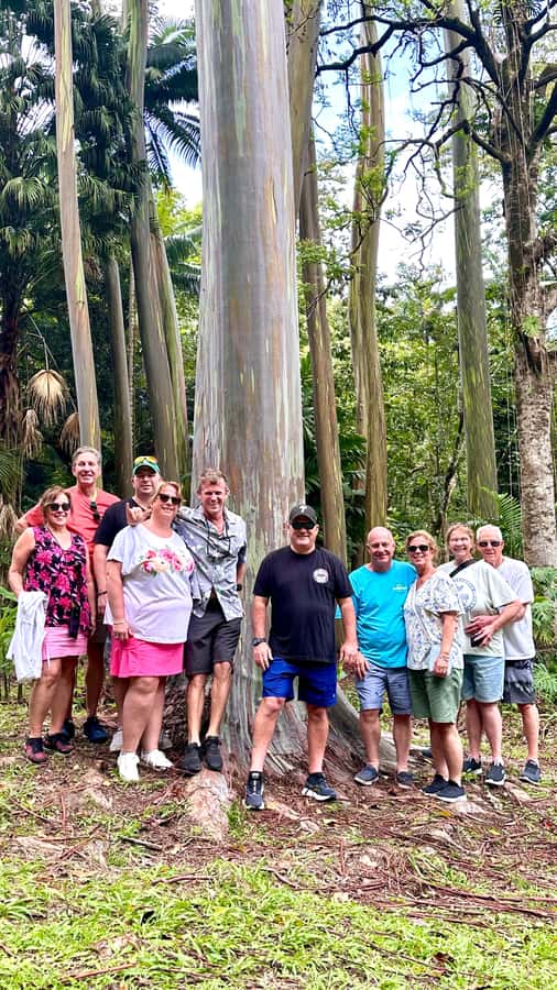 Maui: Rainforest Adventure to Hana with Photos - Keanae Peninsula: A Historic Taro Village