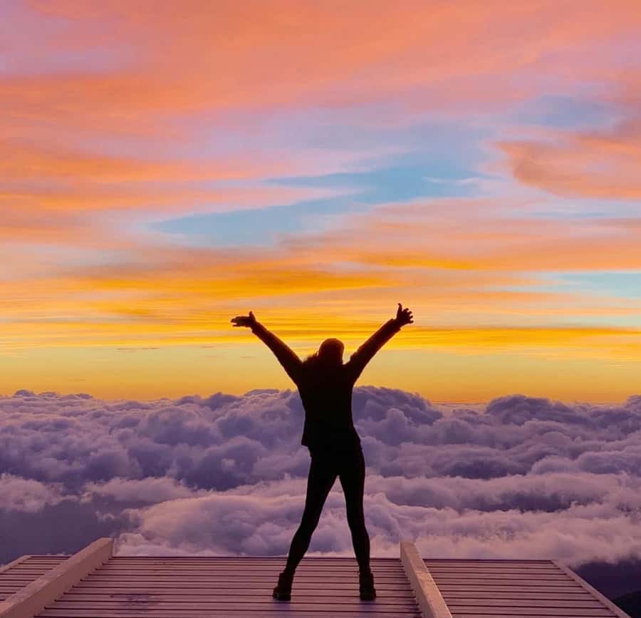 Maui: Rainforest Adventure to Hana with Photos - First Stop: Ho’okipa Beach Park — Turtles and Waves