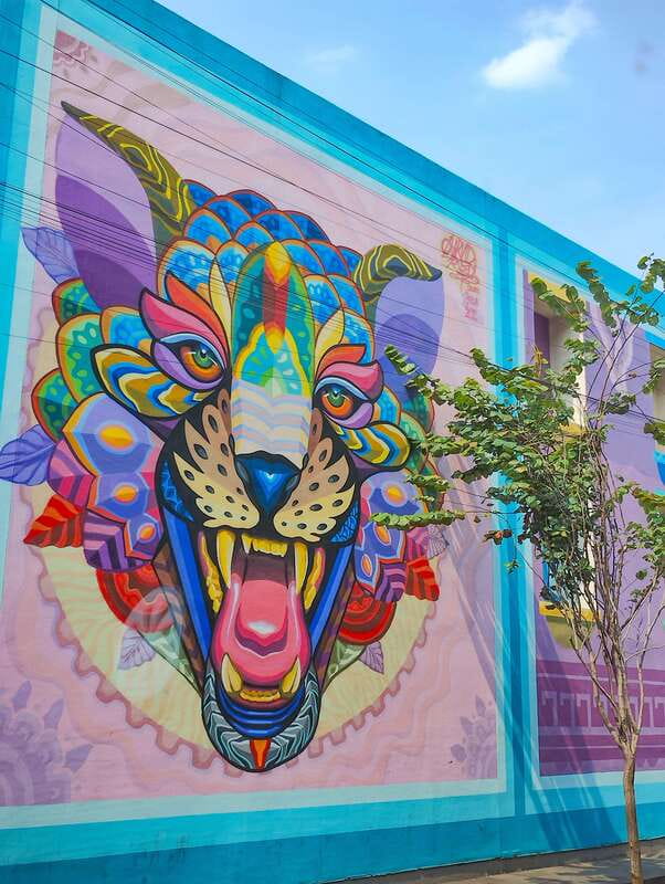 Street Art Tour: Downtown Mexico City - Final Thoughts